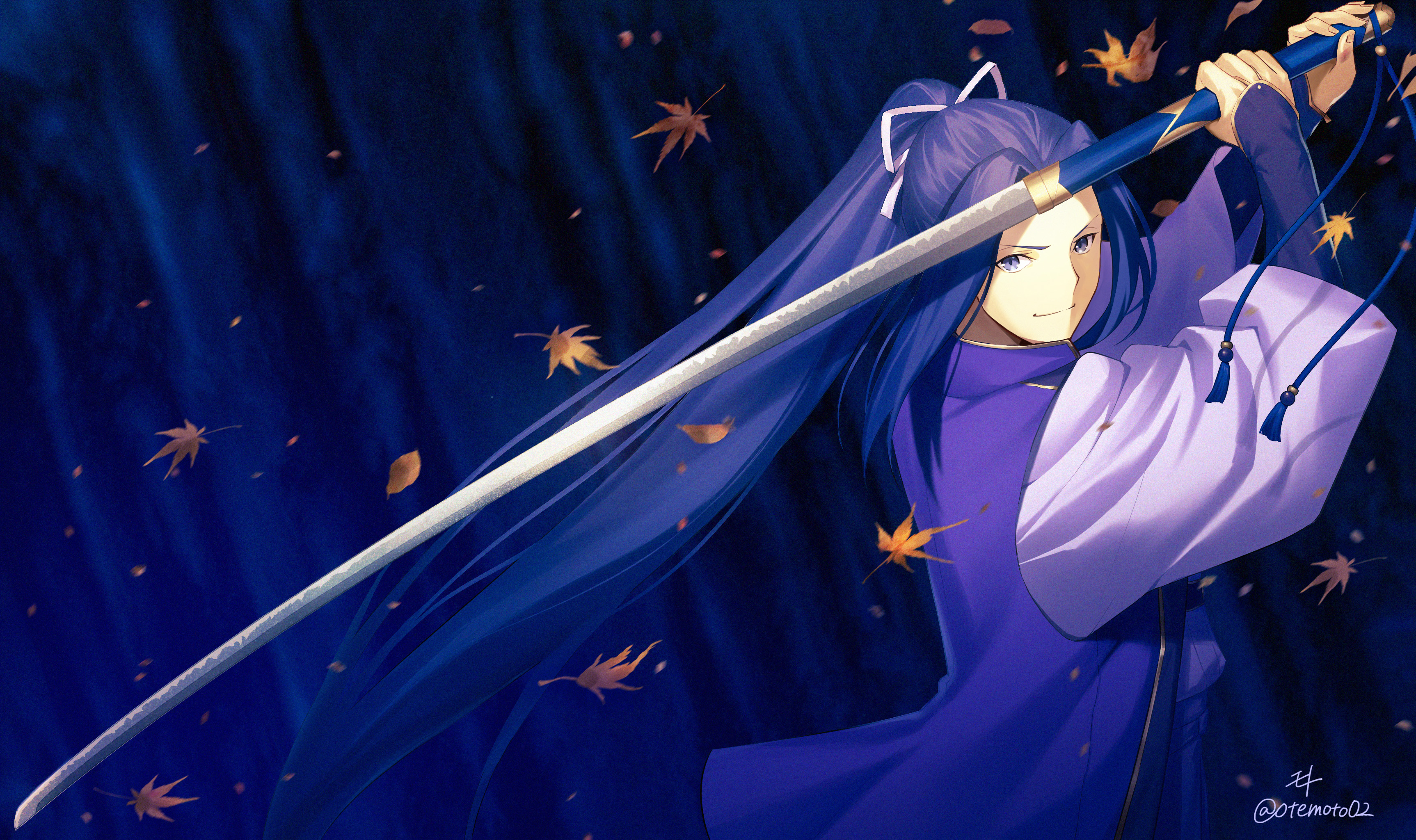 Fate stay night assassin