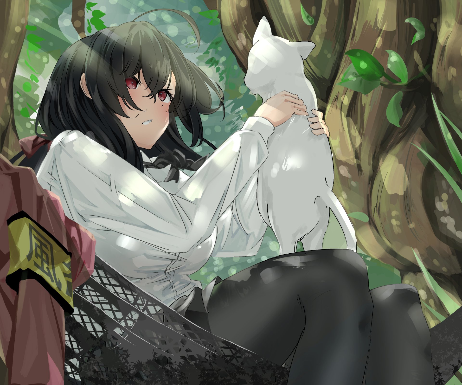 Download Taihou (Azur Lane) Anime Azur Lane HD Wallpaper