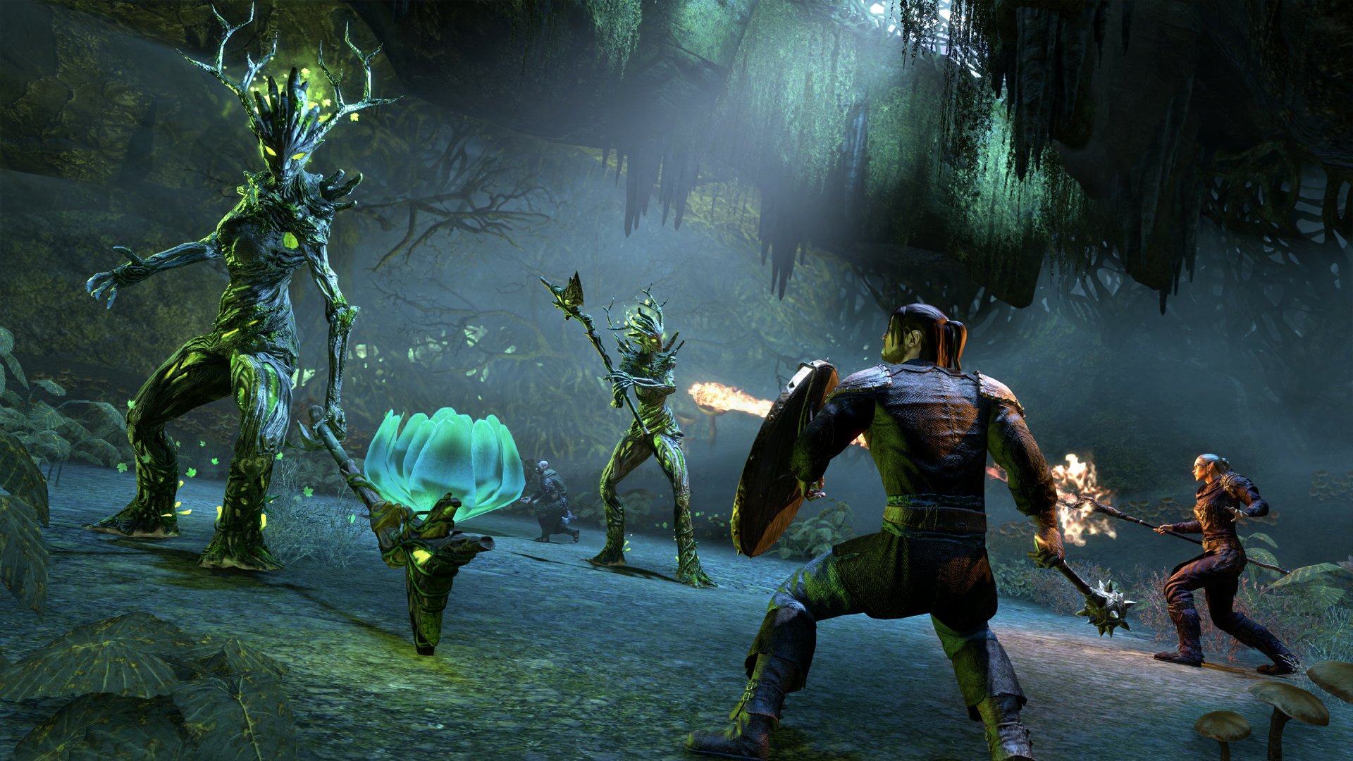 Download Video Game The Elder Scrolls Online: High Isle HD Wallpaper