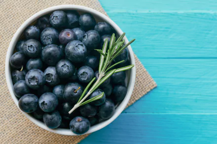 food blueberry HD Desktop Wallpaper | Background Image
