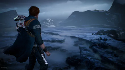  Star Wars Jedi: Fallen Order / Admiring the View