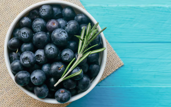 food blueberry HD Desktop Wallpaper | Background Image