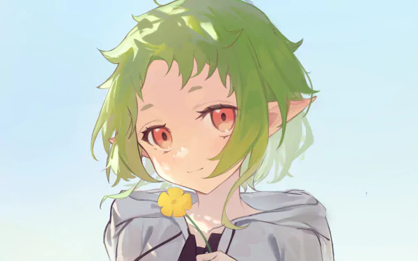 Sylphiette from Mushoku Tensei: Jobless Reincarnation — soft-lit anime HD PC desktop wallpaper, close-up of her green hair, red eyes, cloak, and a small yellow flower.