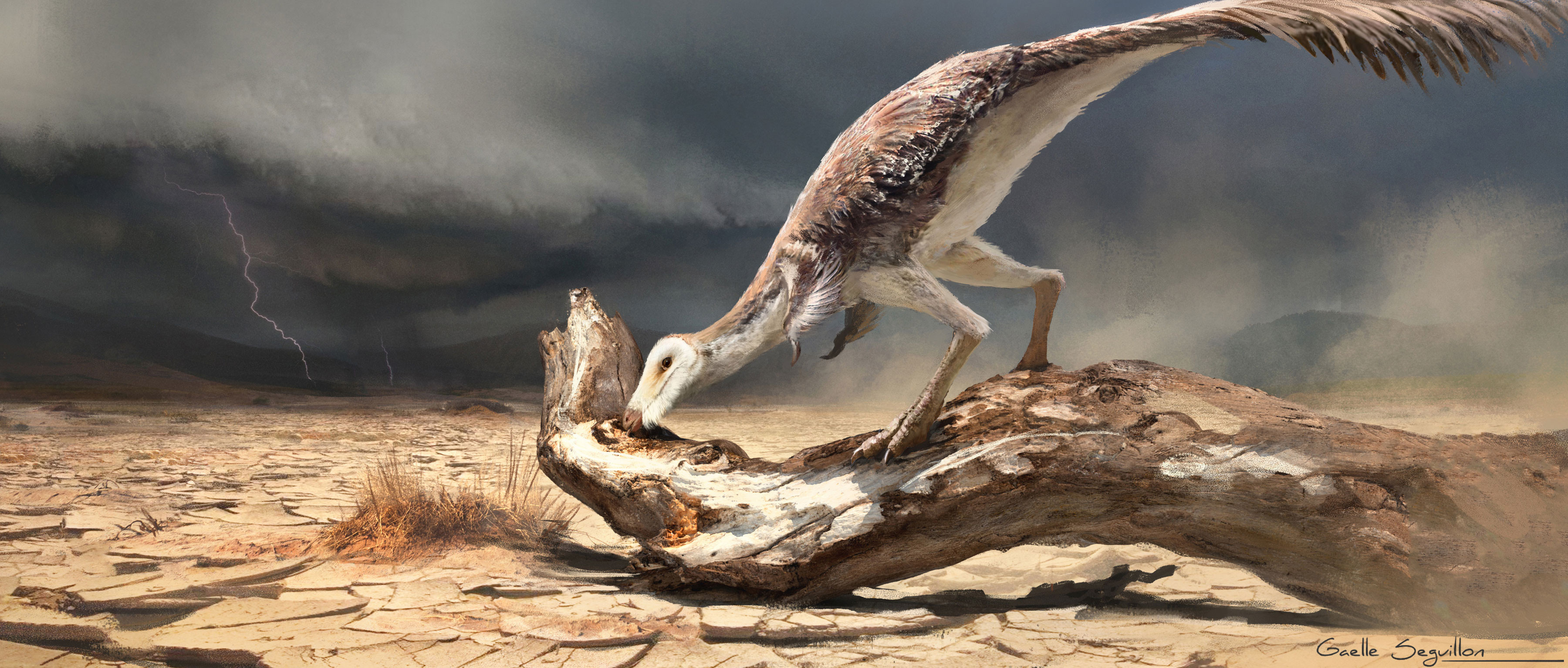 Prehistoric Planet : Mononykus chasing termites by Gaëlle Seguillon