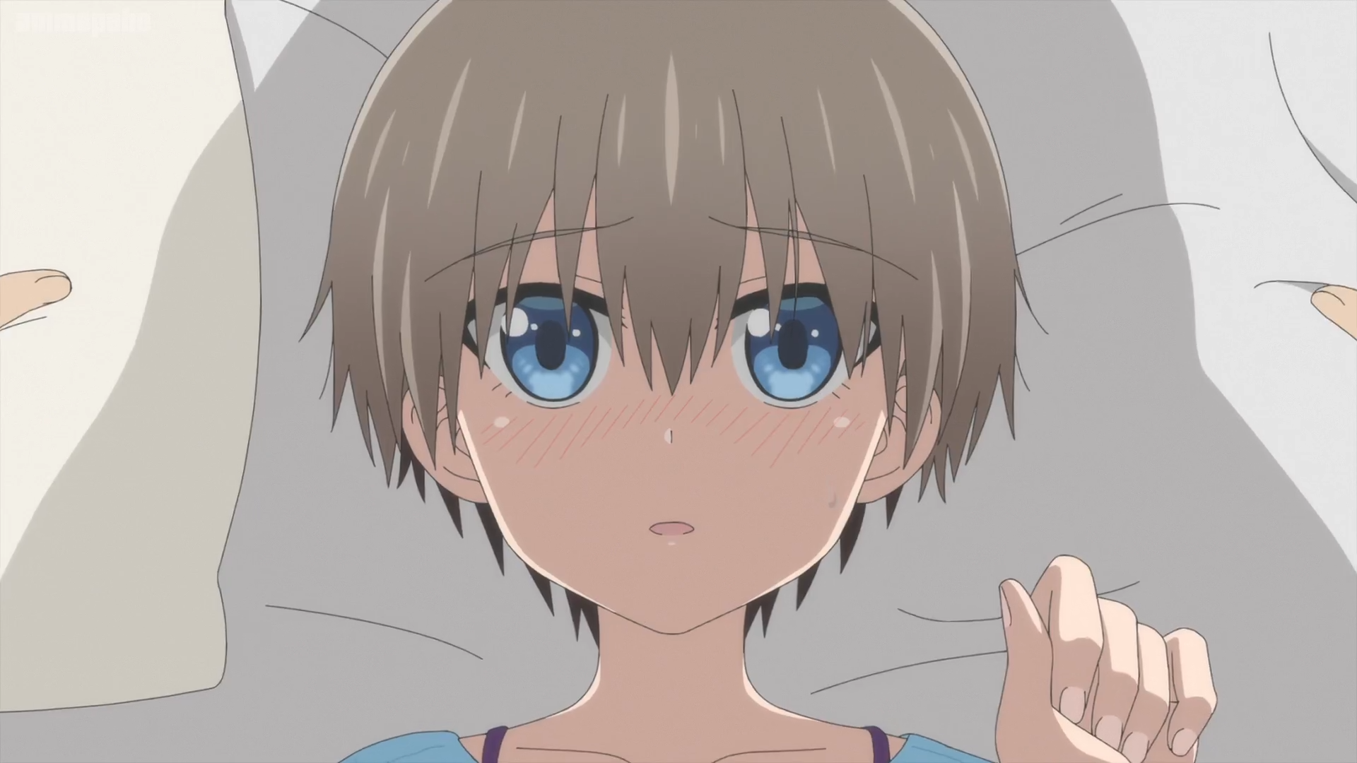 Download Hana Uzaki Anime Uzaki-chan Wants To Hang Out HD Wallpaper