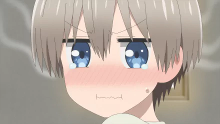 Hana Uzaki Anime Uzaki-chan Wants to Hang Out HD Desktop Wallpaper | Background Image