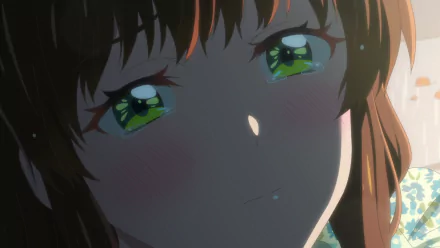 Shiori Sakurazaka Anime More than a married couple but not lovers HD Desktop Wallpaper | Background Image