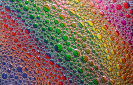 nature water drop HD Desktop Wallpaper | Background Image