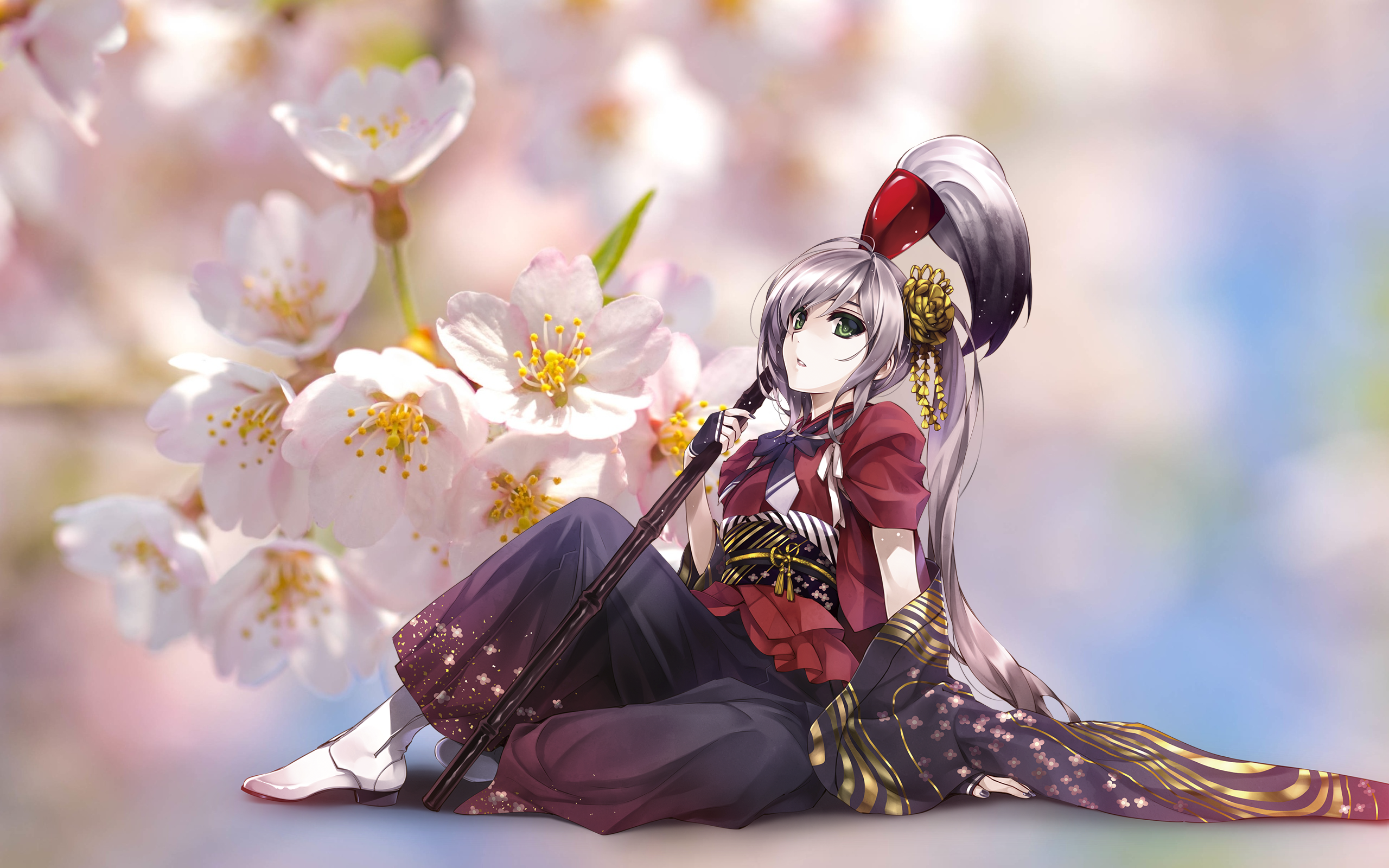 Download Calm Anime Cherry Blossom Tree Wallpaper  Wallpaperscom