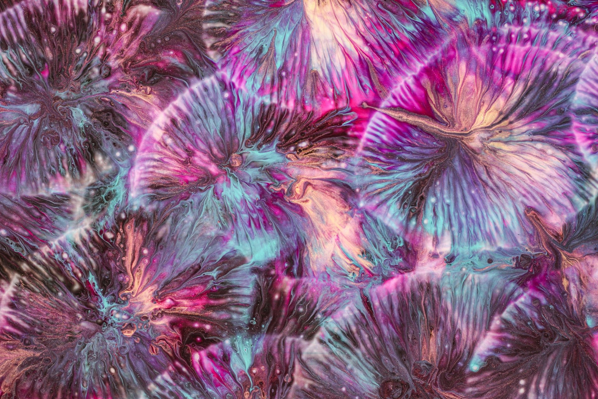 Download Abstract Paint 4k Ultra HD Wallpaper by Susan Wilkinson