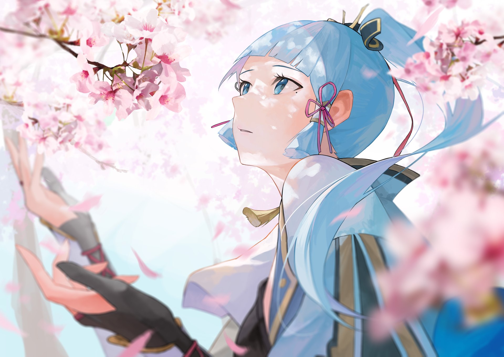 8K Ultra HD PC desktop wallpaper of Kamisato Ayaka from the video game Genshin Impact, serene portrait among cherry blossoms, blue-haired swordswoman gazing skyward as petals drift.