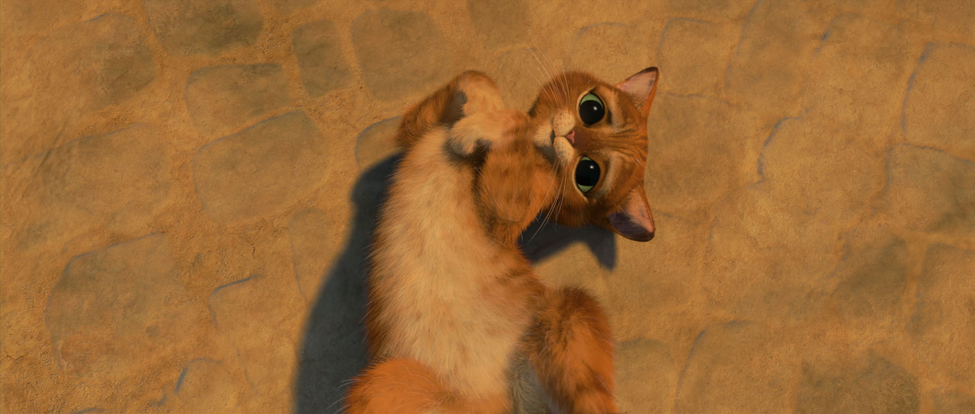 Download Cute Cat Movie Puss In Boots Cute Cat HD Wallpaper