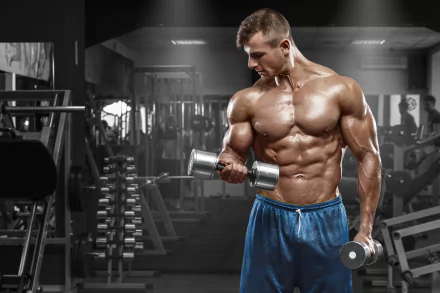 gym bodybuilding Sports HD Desktop Wallpaper | Background Image