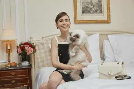 Celebrity Lily Collins HD Desktop Wallpaper | Background Image