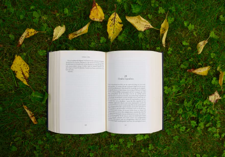 man made book HD Desktop Wallpaper | Background Image