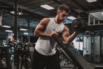 gym bodybuilding Sports HD Desktop Wallpaper | Background Image