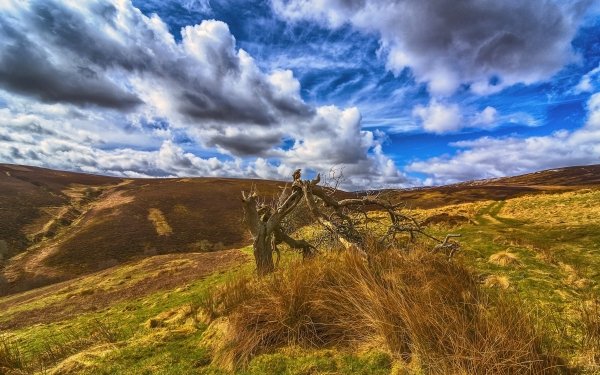 Nature Landscape Scotland HD Wallpaper | Background Image