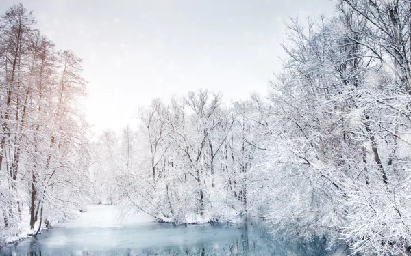 nature winter HD Desktop Wallpaper | Background Image