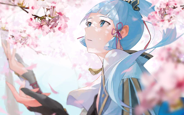 8K Ultra HD PC desktop wallpaper of Kamisato Ayaka from the video game Genshin Impact, serene portrait among cherry blossoms, blue-haired swordswoman gazing skyward as petals drift.