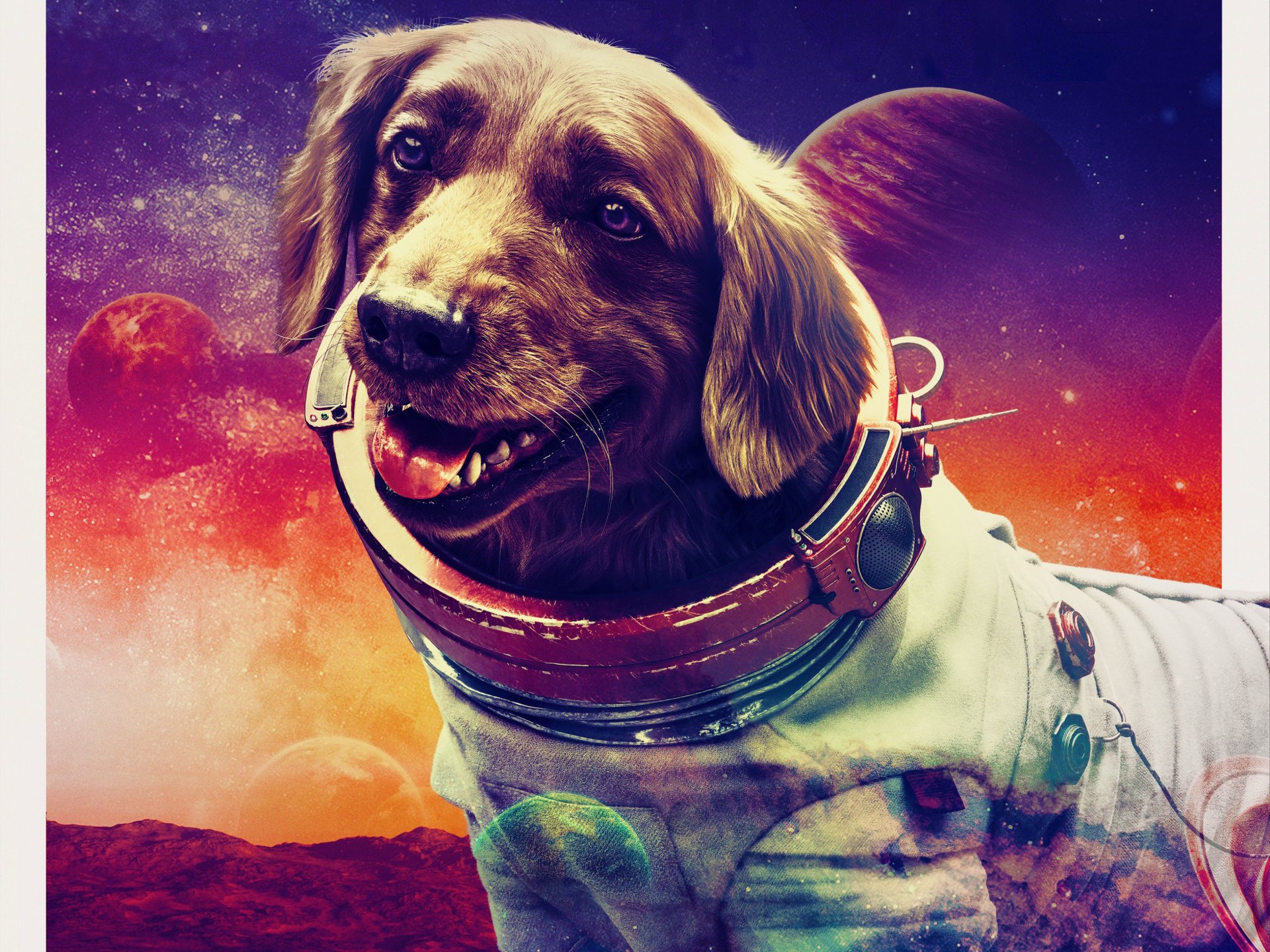Guardians of the Galaxy Vol. 3 movie 2K Quad HD PC desktop wallpaper: a smiling brown dog in an astronaut suit against a vivid cosmic sunset with planets and stars.