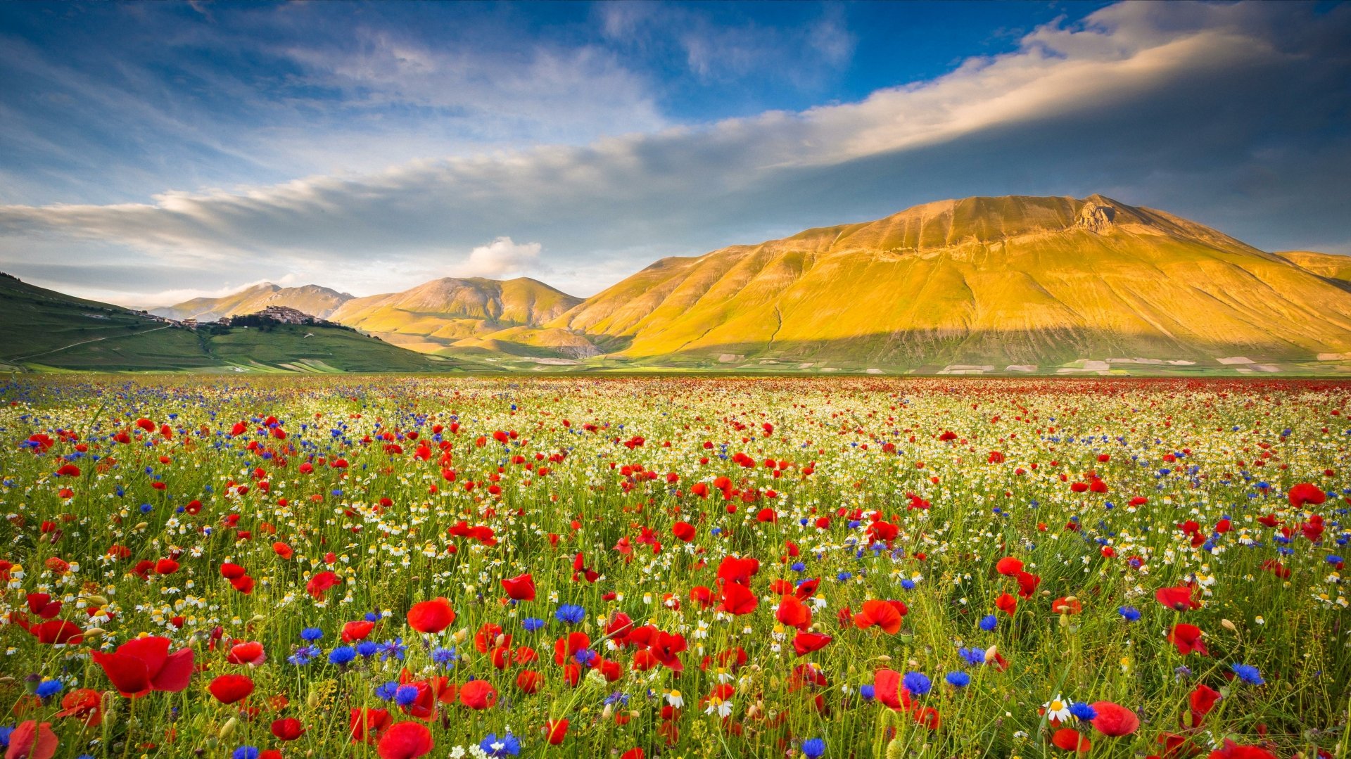 Vibrant mountain landscape with wildflowers under a dramatic sky, captured in 4K Ultra HD for a stunning PC desktop wallpaper and background.