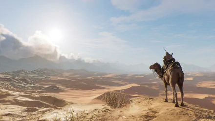 camel Egypt sun desert Bayek Of Siwa video game Assassin's Creed Origins HD Desktop Wallpaper | Background Image