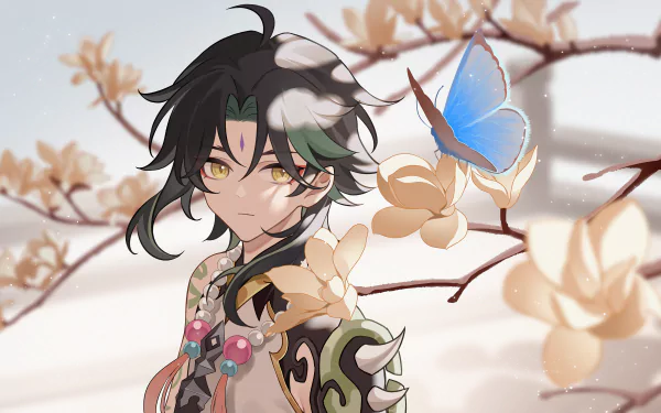 HD PC desktop wallpaper featuring Xiao from the video game Genshin Impact, set against a soft background of blooming branches and a vibrant blue butterfly.