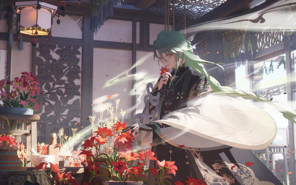 HD PC desktop wallpaper featuring Baizhu from the video game Genshin Impact, depicted in a serene room surrounded by vibrant red flowers and soft natural light.