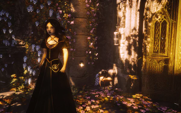 video game Castle of Secrets HD Desktop Wallpaper | Background Image