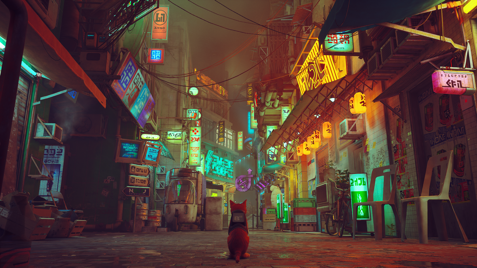 HD stray game wallpapers  Peakpx