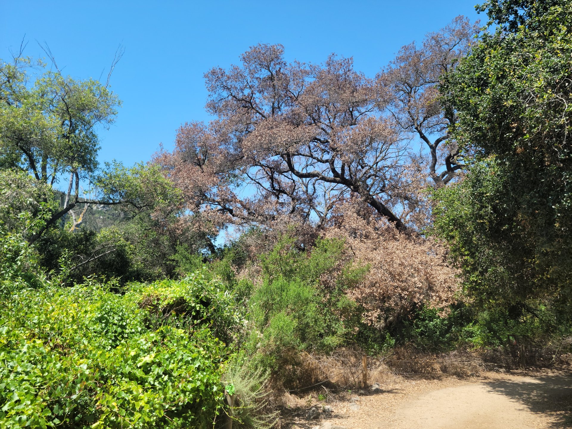 Hiking in Greater San Diego County Landscape Photography by Dr-Pen