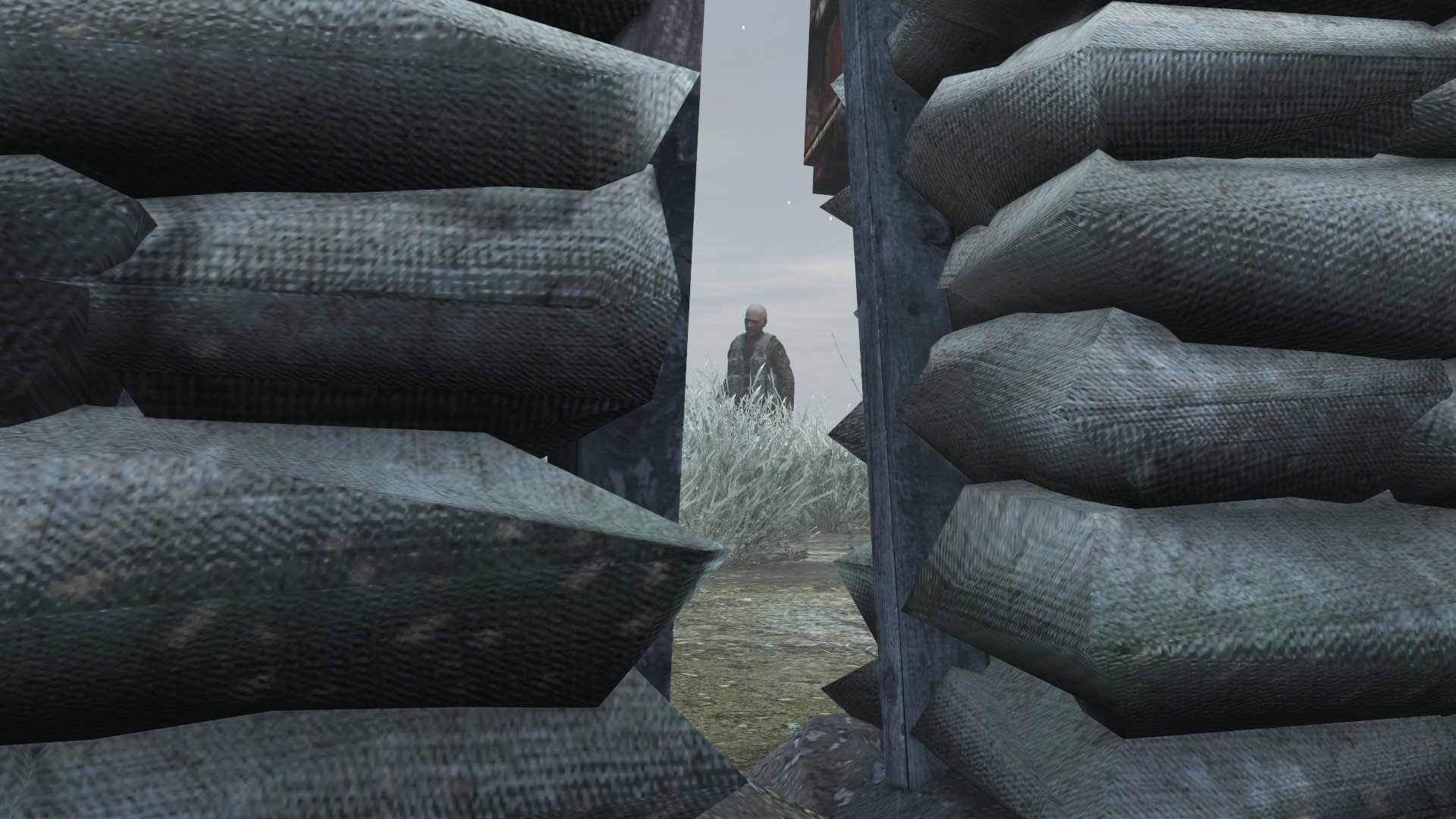 Zombie by LoneWalker