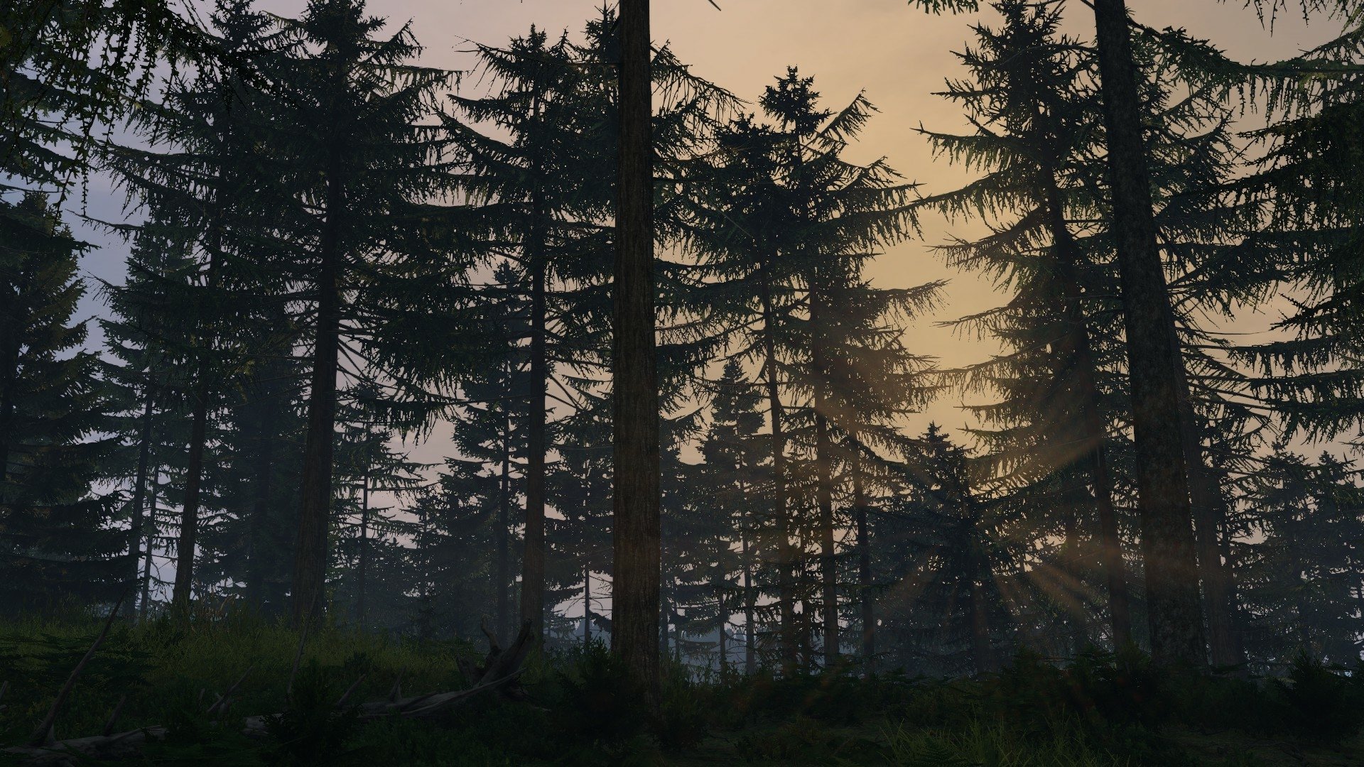 Sunrise by LoneWalker