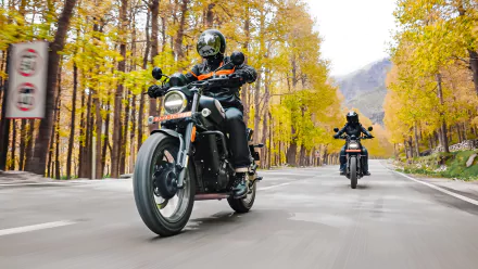 Harley-Davidson motorcycles riding on an autumn road with colorful trees - Harley-Davidson X440 HD desktop wallpaper.