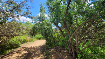  Hiking in Greater San Diego County – Landscape Photography