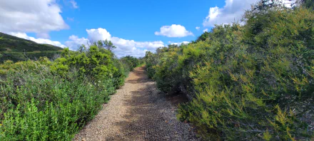  Hiking in Greater San Diego County – Landscape Photography