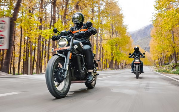 Harley-Davidson motorcycles riding on an autumn road with colorful trees - Harley-Davidson X440 HD desktop wallpaper.