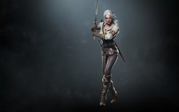  The Witcher 3: Wild Hunt (2015) - Official Steam Trading Card Wallpaper