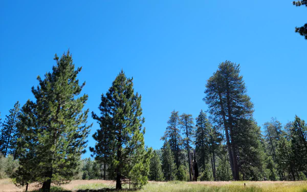  Palomar Mountain Hiking Trip in July - Doane Valley