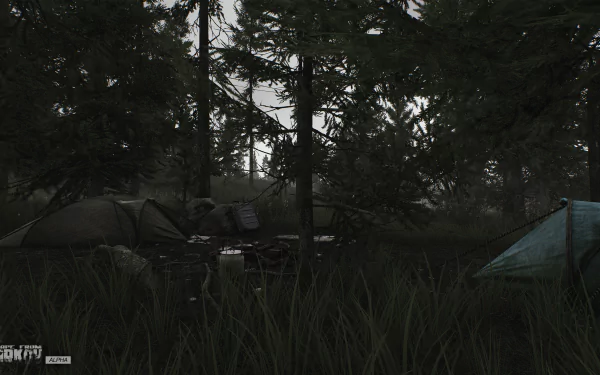HD desktop wallpaper from the video game Escape from Tarkov featuring a dimly lit forest scene with tents and dense trees.