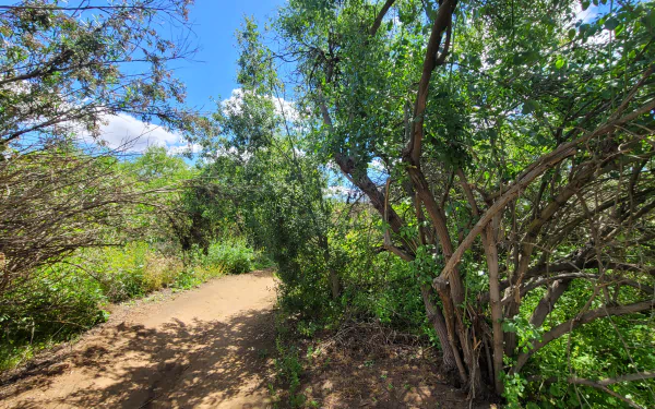  Hiking in Greater San Diego County – Landscape Photography