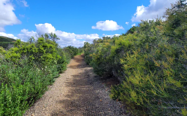  Hiking in Greater San Diego County – Landscape Photography