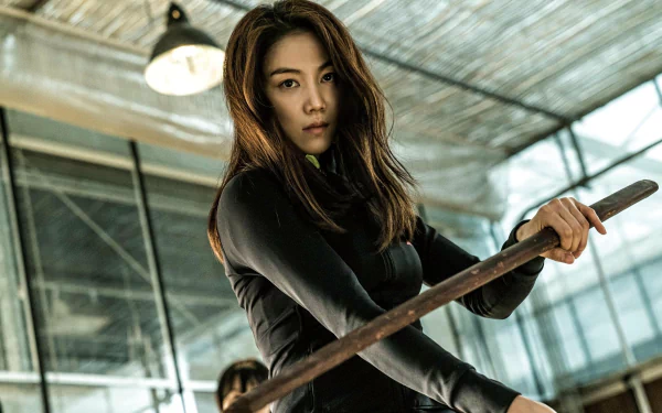 movie The Villainess HD Desktop Wallpaper | Background Image