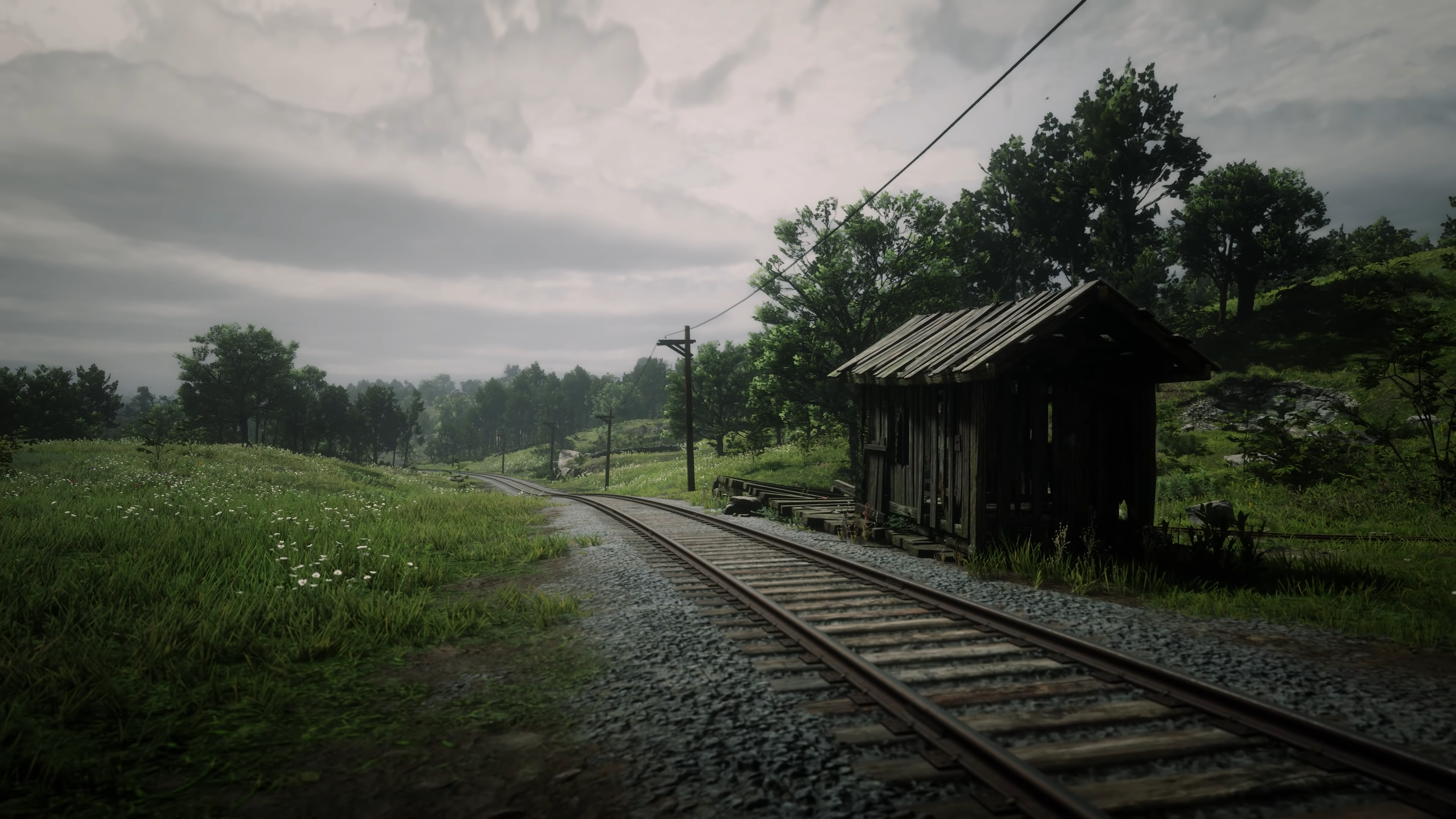 Scenic view from Red Dead Redemption 2 with a railroad cutting through a vast field, perfect as a high-definition desktop wallpaper.