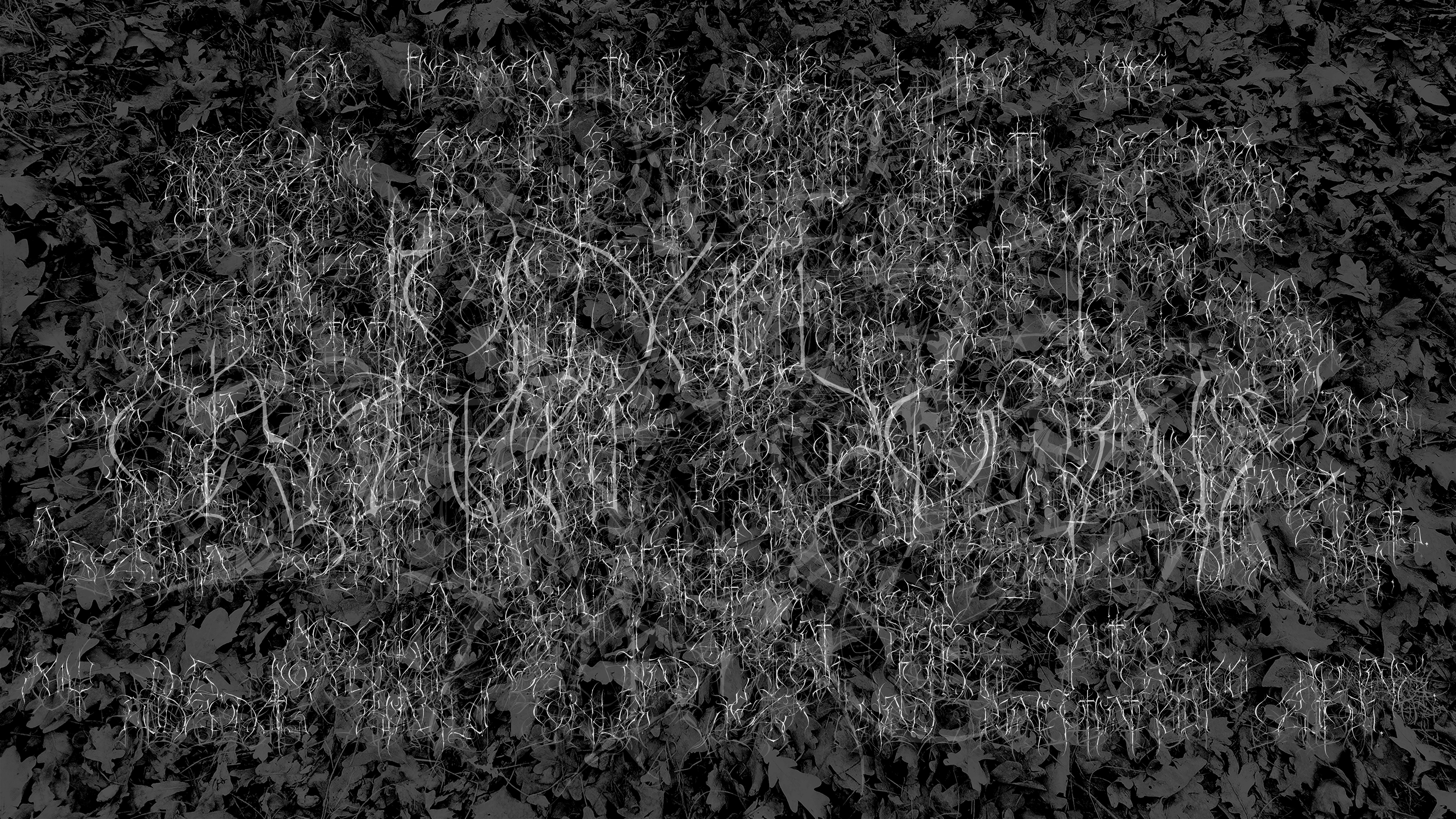 Dark Poetry HD Wallpaper | Background Image