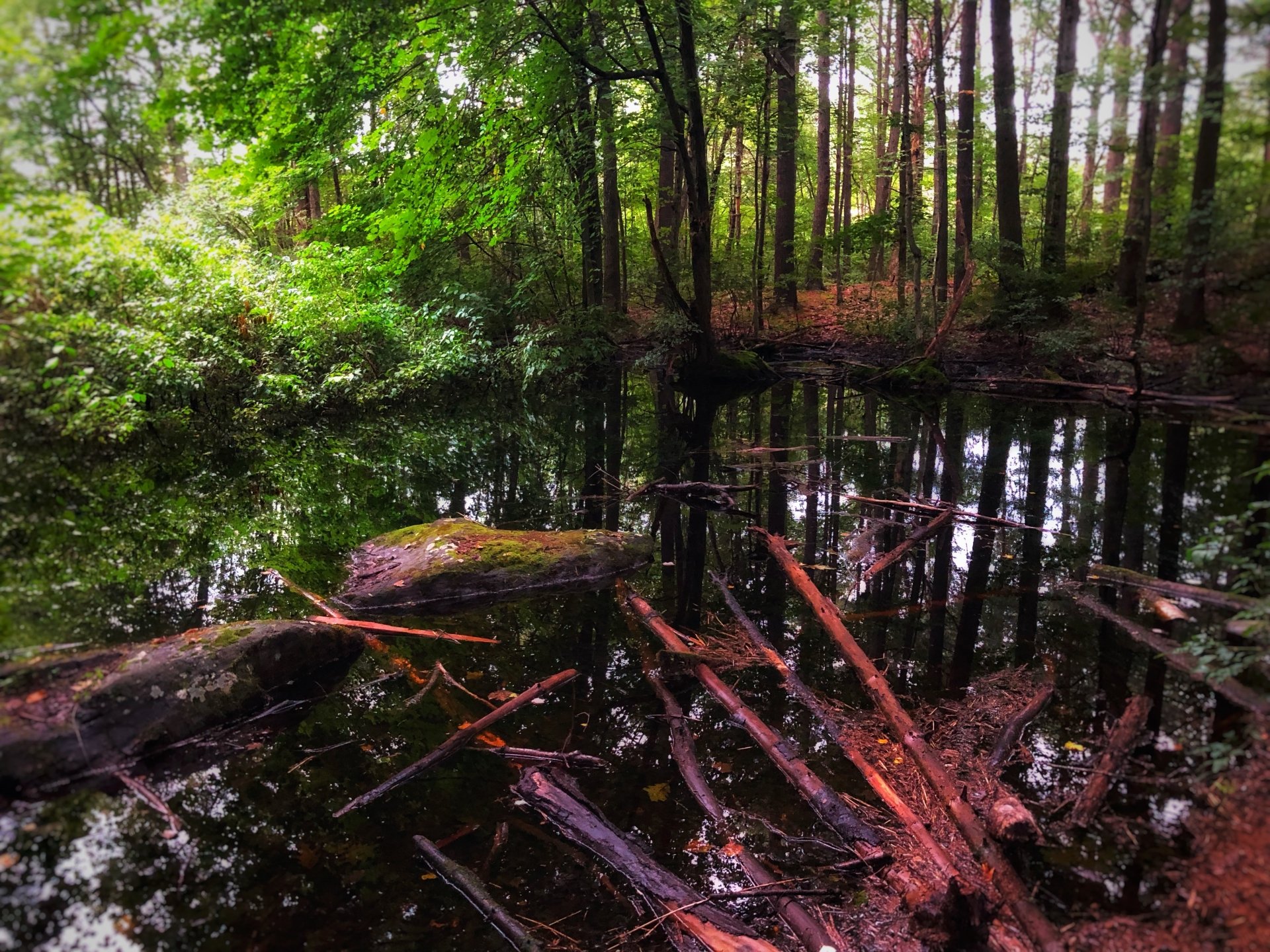 Gaia’s Embrace by jhim