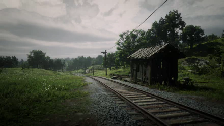 railroad field video game Red Dead Redemption 2 HD Desktop Wallpaper | Background Image