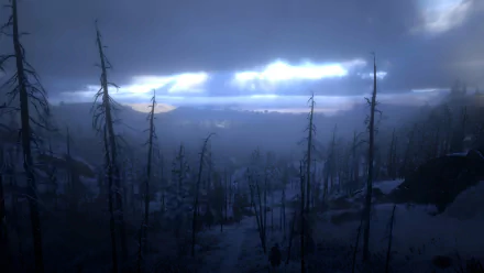 Red Dead Redemption 2 4K Ultra HD PC wallpaper: snow-covered valley beneath heavy clouds, skeletal trees in the foreground and misty ridgelines fading into the horizon.
