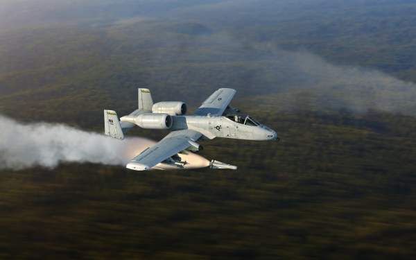 Video Game Digital Combat Simulator World DCS: A-10C Warthog Fairchild Republic A-10 Thunderbolt II HD Wallpaper | Background Image