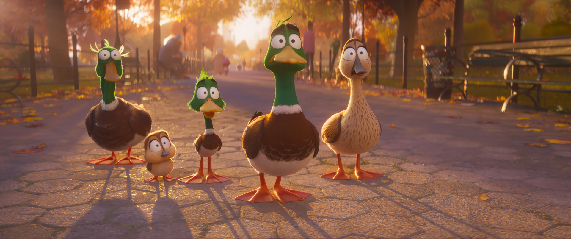 HD wallpaper of animated ducks from the movie Migration (2023) standing on a sunlit path with autumn trees in the background.
